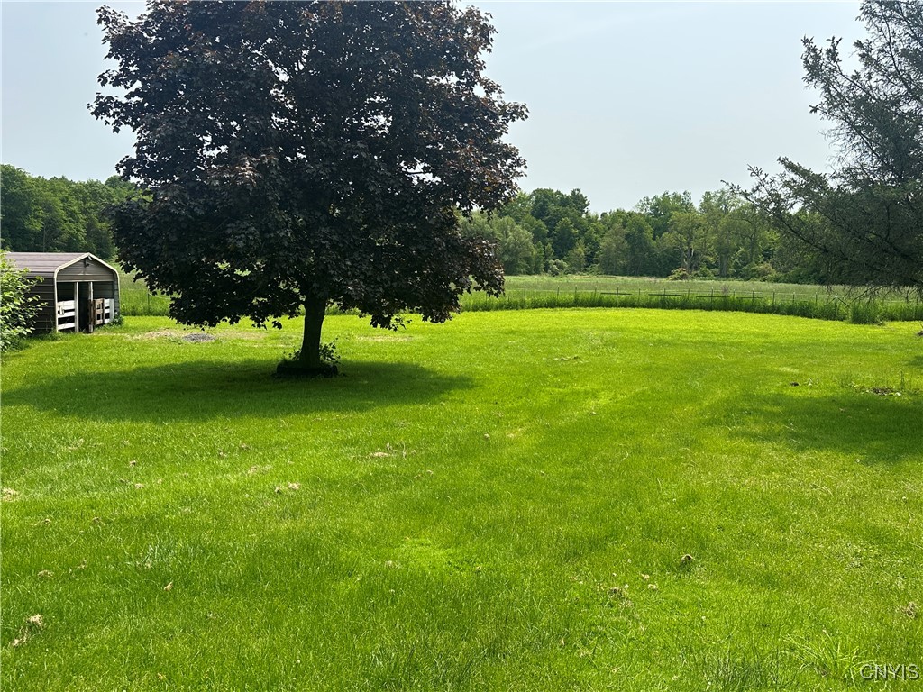 436 Mcgowan Road, Frankfort, New York image 3