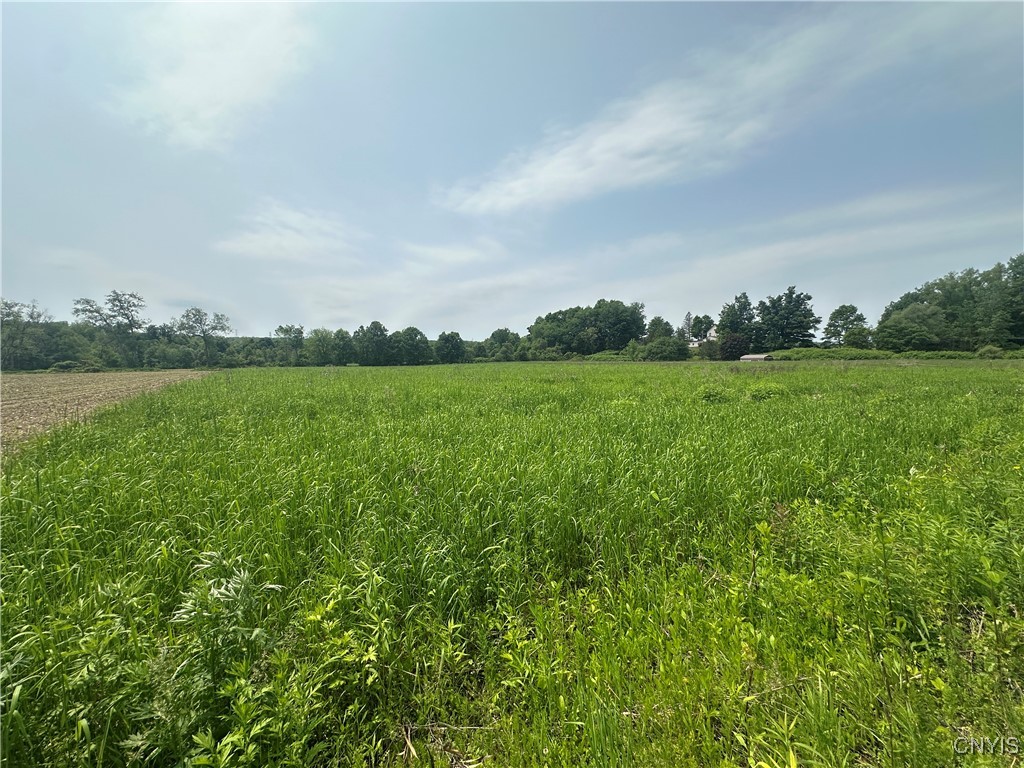436 Mcgowan Road, Frankfort, New York image 4