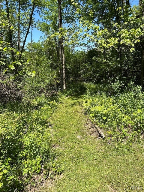 Tiny photo for 5003 Hamilton Road, Elbridge, NY 13060 (MLS # S1688560)