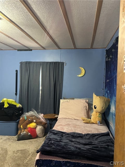 Tiny photo for 5003 Hamilton Road, Elbridge, NY 13060 (MLS # S1688560)