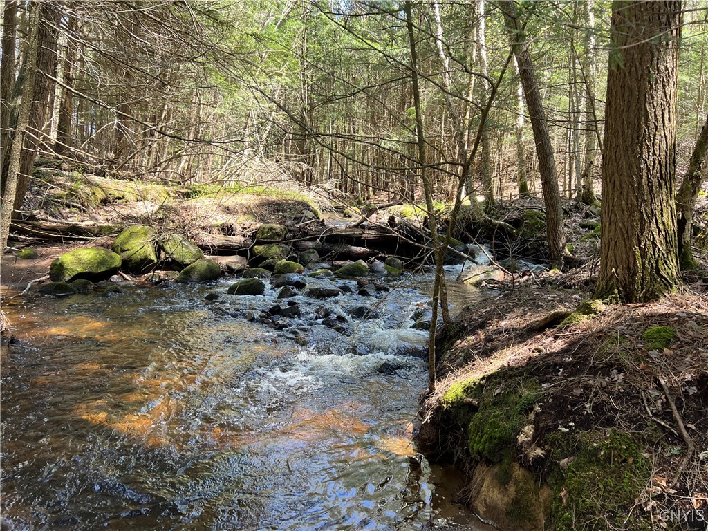Hemlock Drive