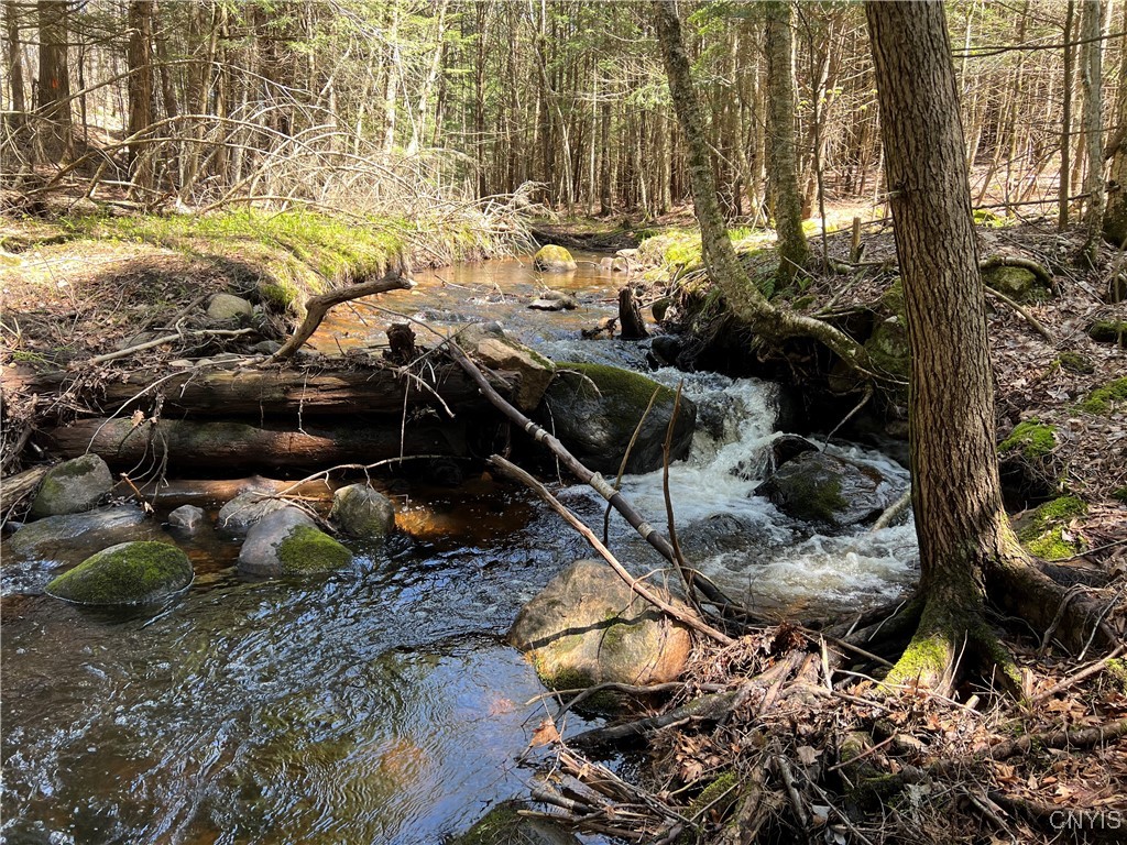 Hemlock Drive