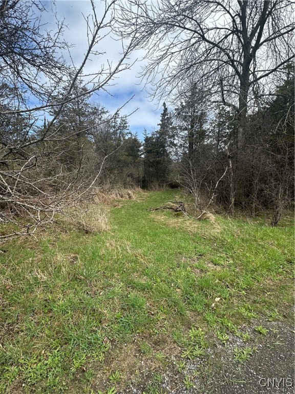 Nutting St Road, Henderson, New York image 4