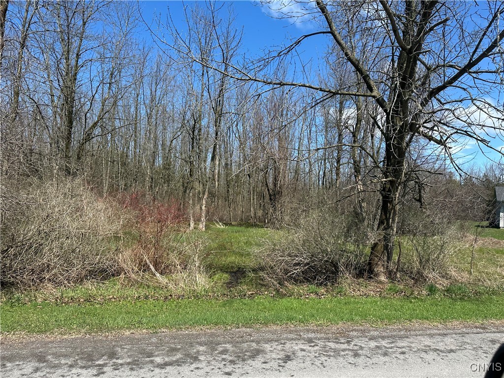 Nutting St Road, Henderson, New York image 6