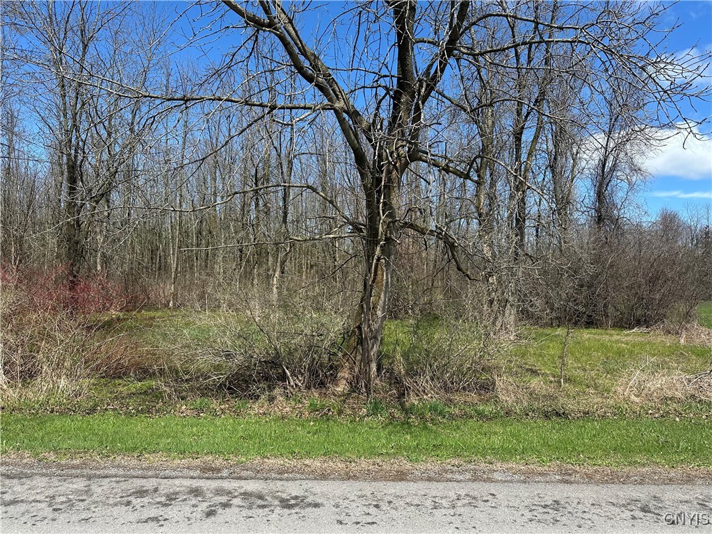 Nutting St Road, Henderson, New York image 7