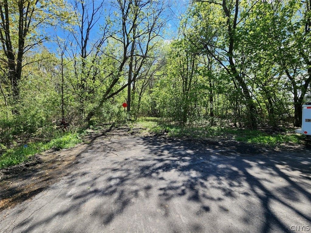 Photo of 040.-05-05 + 06 Maconi Avenue, DeWitt, NY 13057 (MLS # S1678086)
