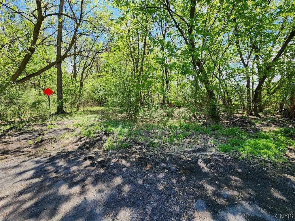 Photo of 040.-05-05 + 06 Maconi Avenue, DeWitt, NY 13057 (MLS # S1678086)