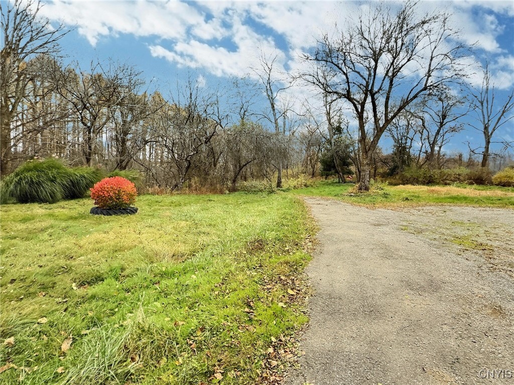 1112 Elm Street Extension