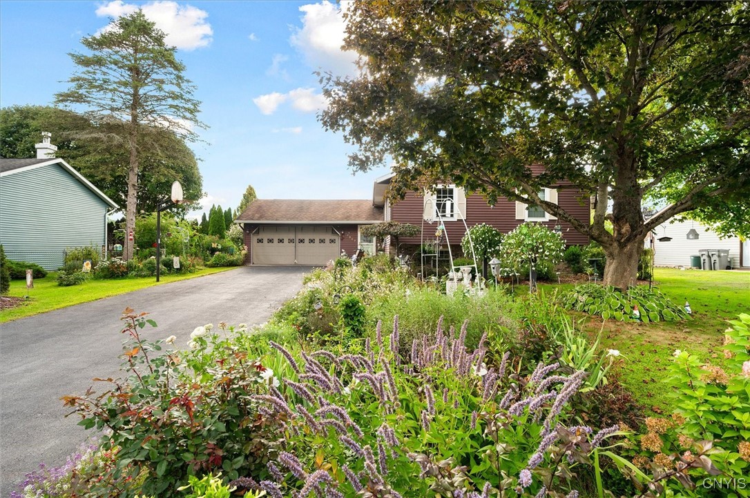 7989 Northwood Drive