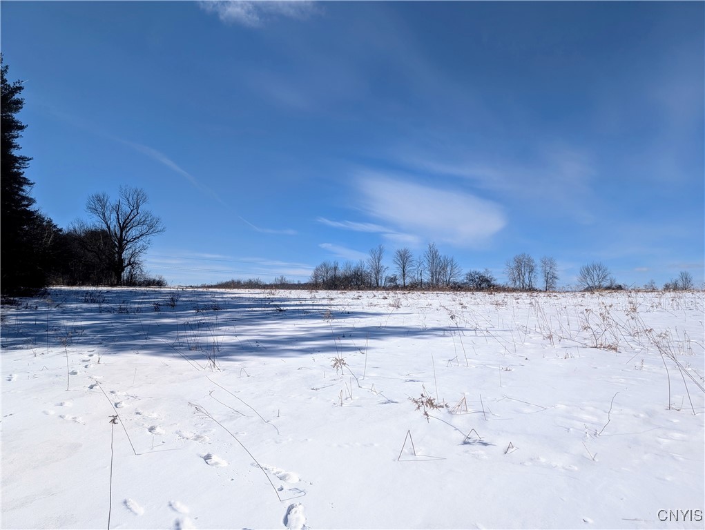 Dedrick Hill Road, Barker, New York image 11