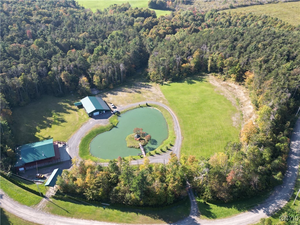 289 Twin Ponds Drive, Newport, New York image 46