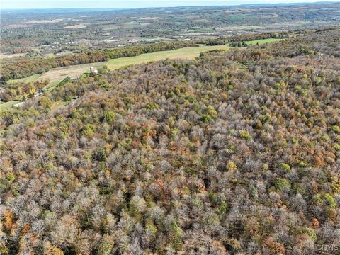 0 Crescent Avenue Oneida NY 13421