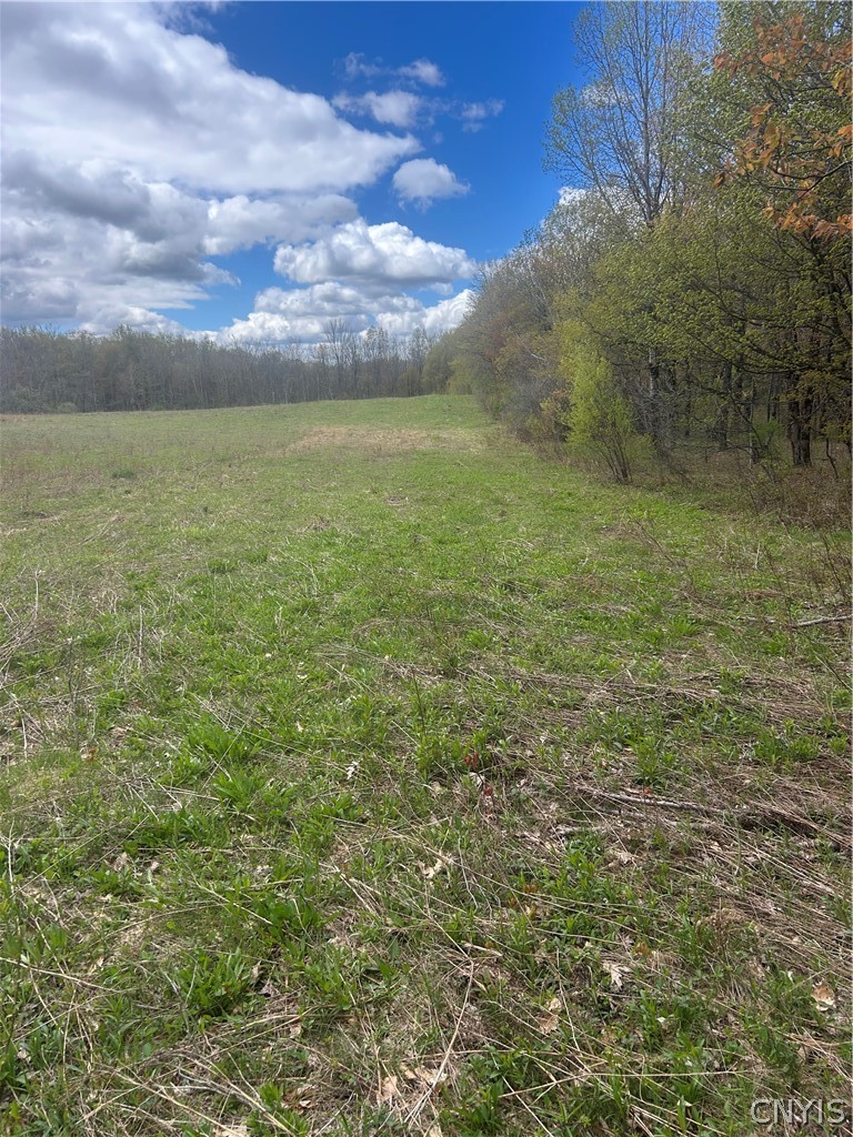 Smith Hill Road