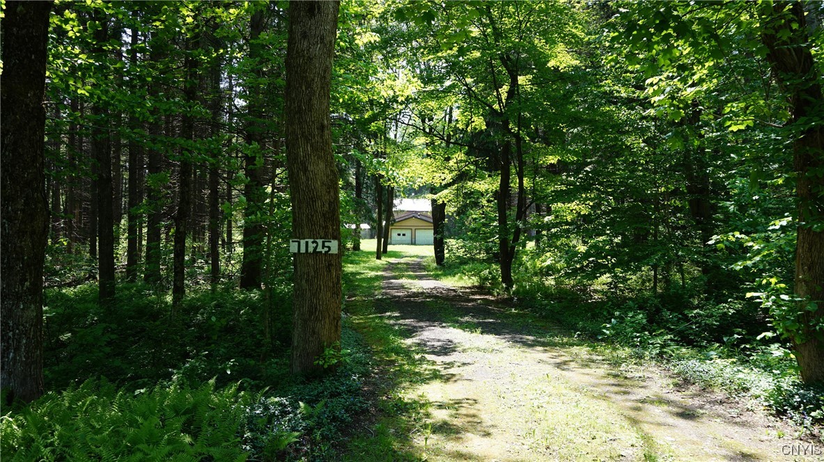 7125 County Route 17