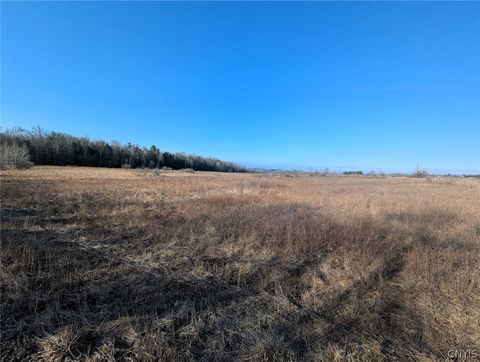 Vacant Land For Sale - South Road<br/> Rathbone, NY 14801