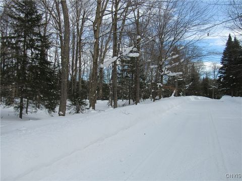 Tamarack Drive Old Forge NY 13420