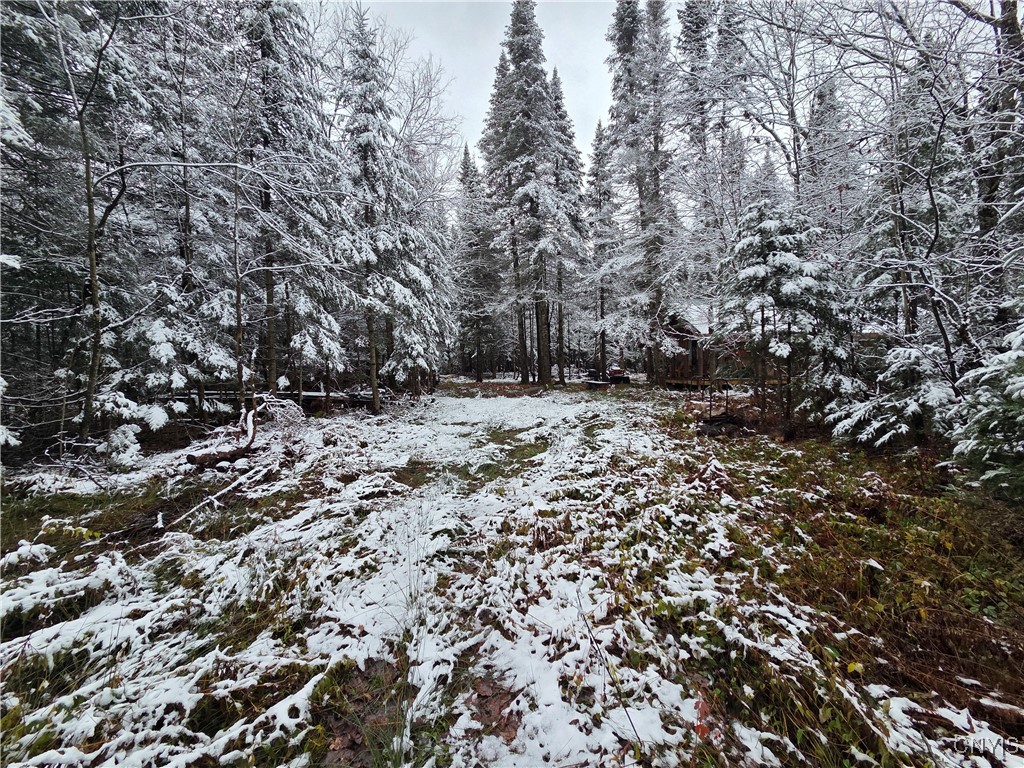 Martinsburg, New York 13404, United States, ,Land,Active,242360