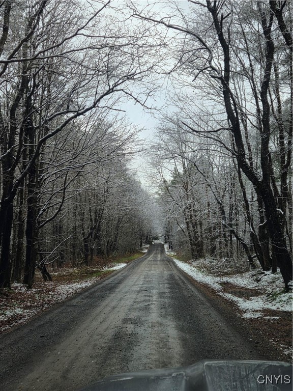 Martinsburg, New York 13404, United States, ,Land,Active,242360