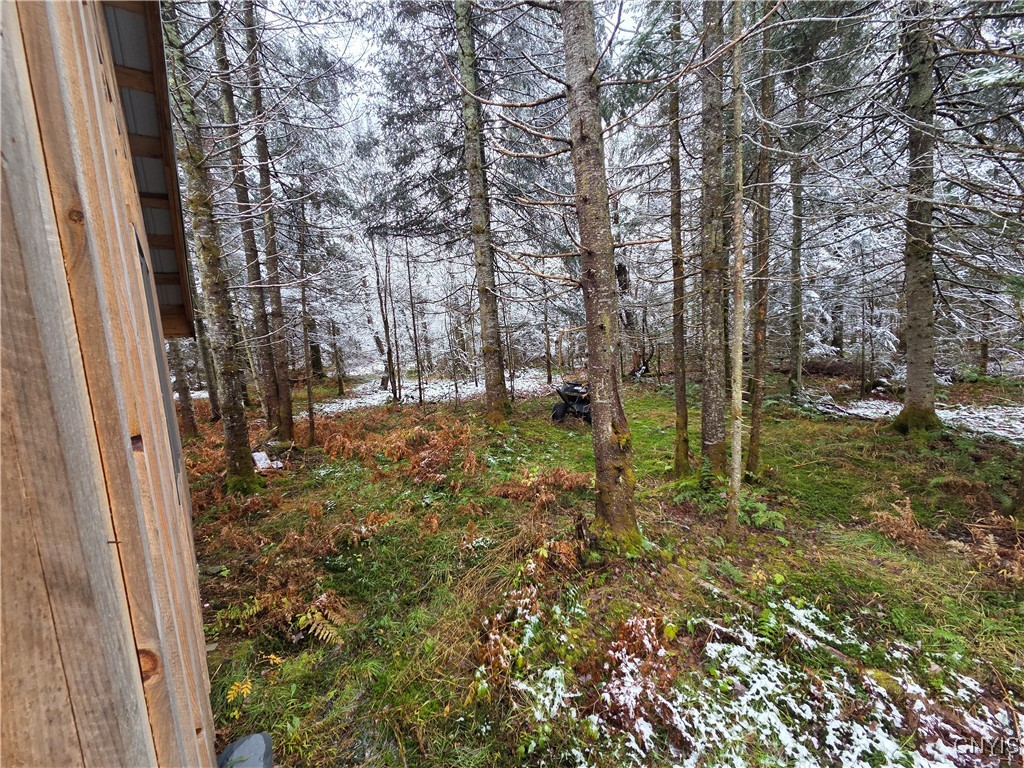 Martinsburg, New York 13404, United States, ,Land,Active,242360