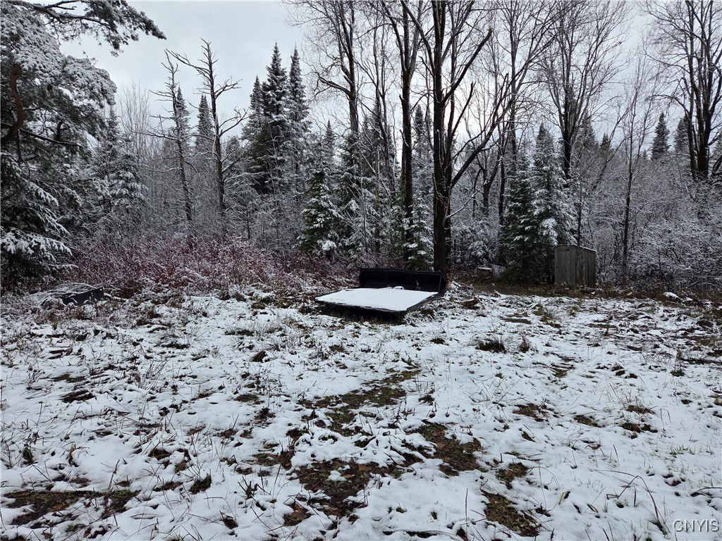 Martinsburg, New York 13404, United States, ,Land,Active,242360