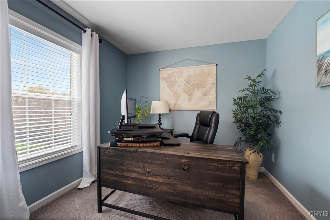 5273 Medasano Circle, Clay, New York image 15
