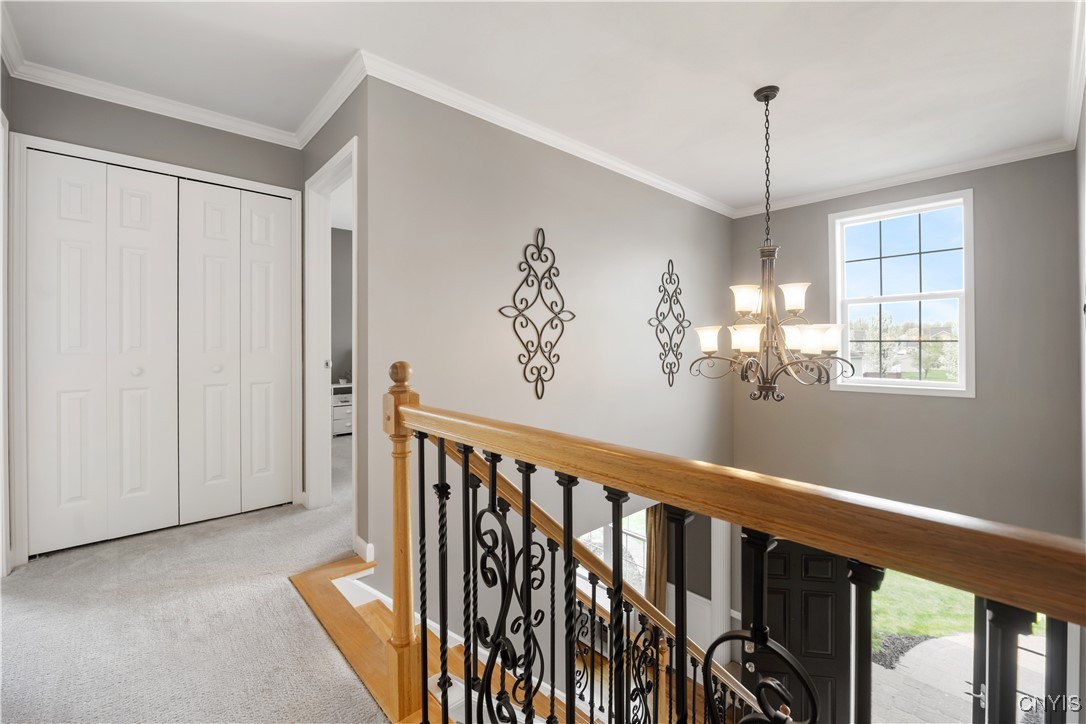 5273 Medasano Circle, Clay, New York image 32