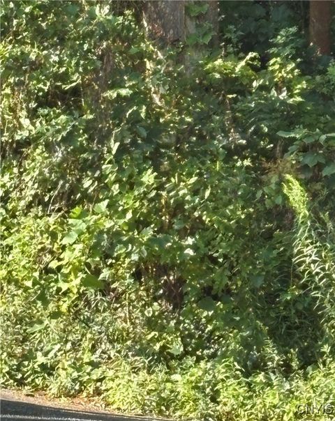 Vacant Land For Sale - Pellet Road<br/> Hannibal, NY 13074