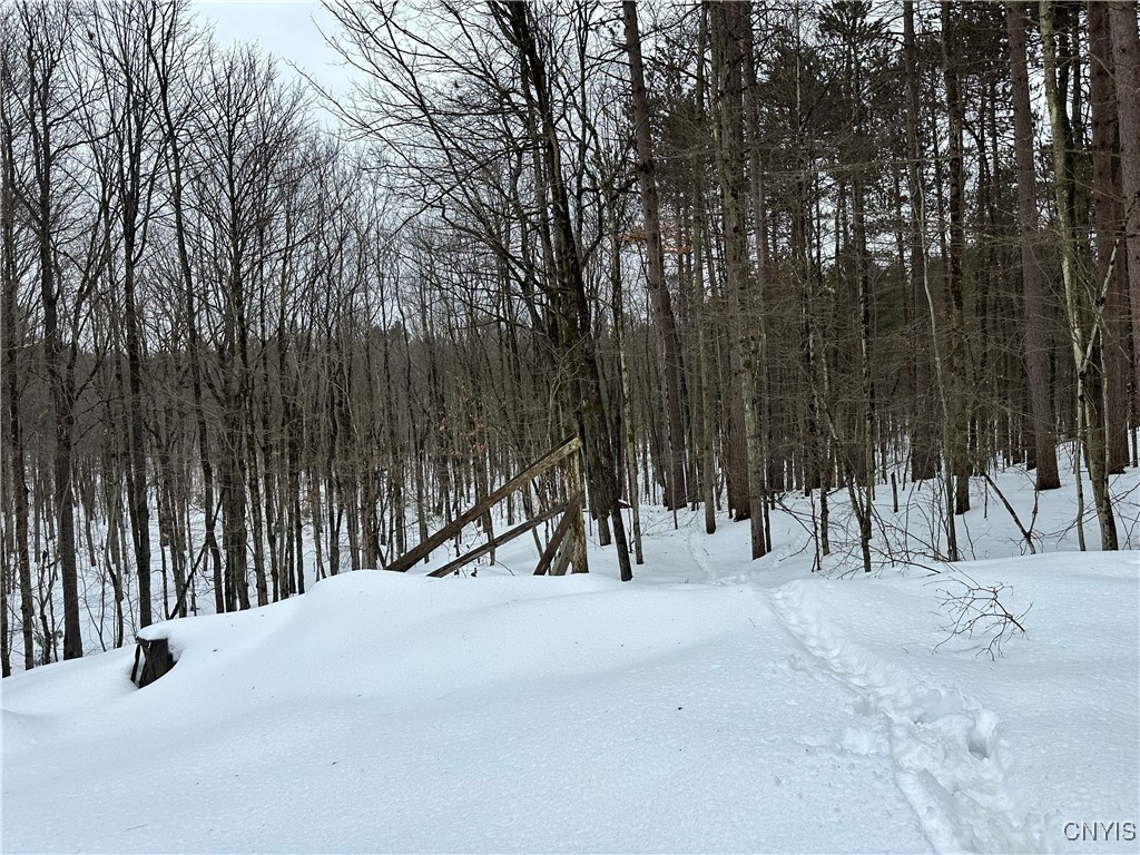 Cotton Road, Croghan, New York image 19