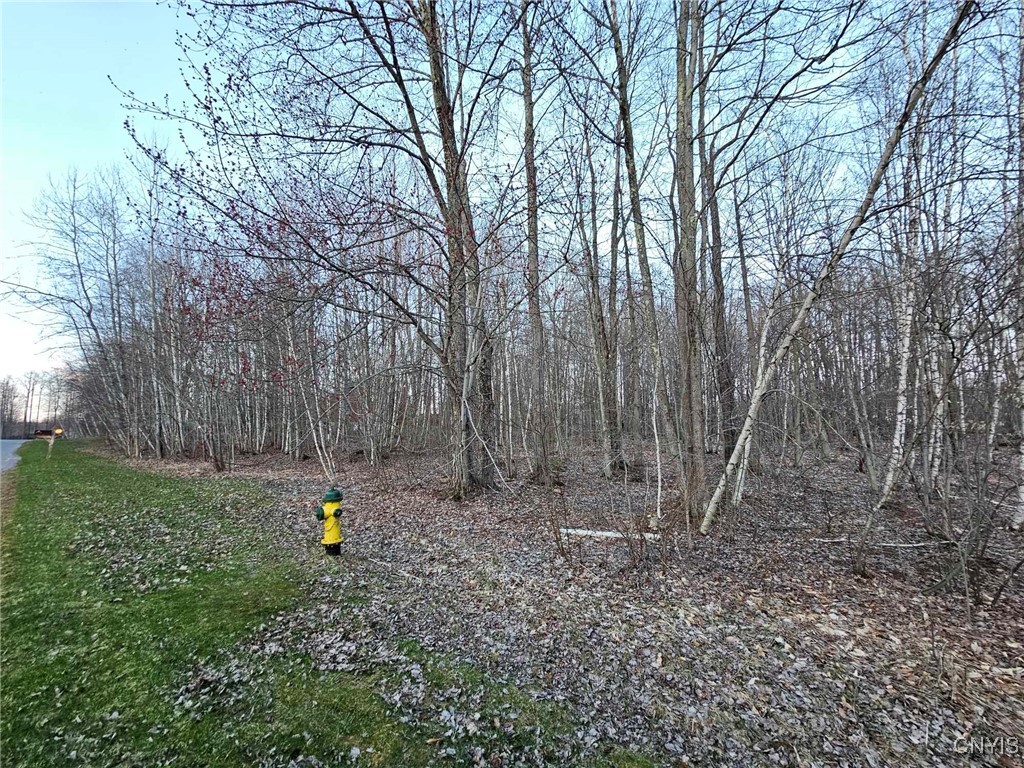 Adrian Circle, Constantia, New York image 9