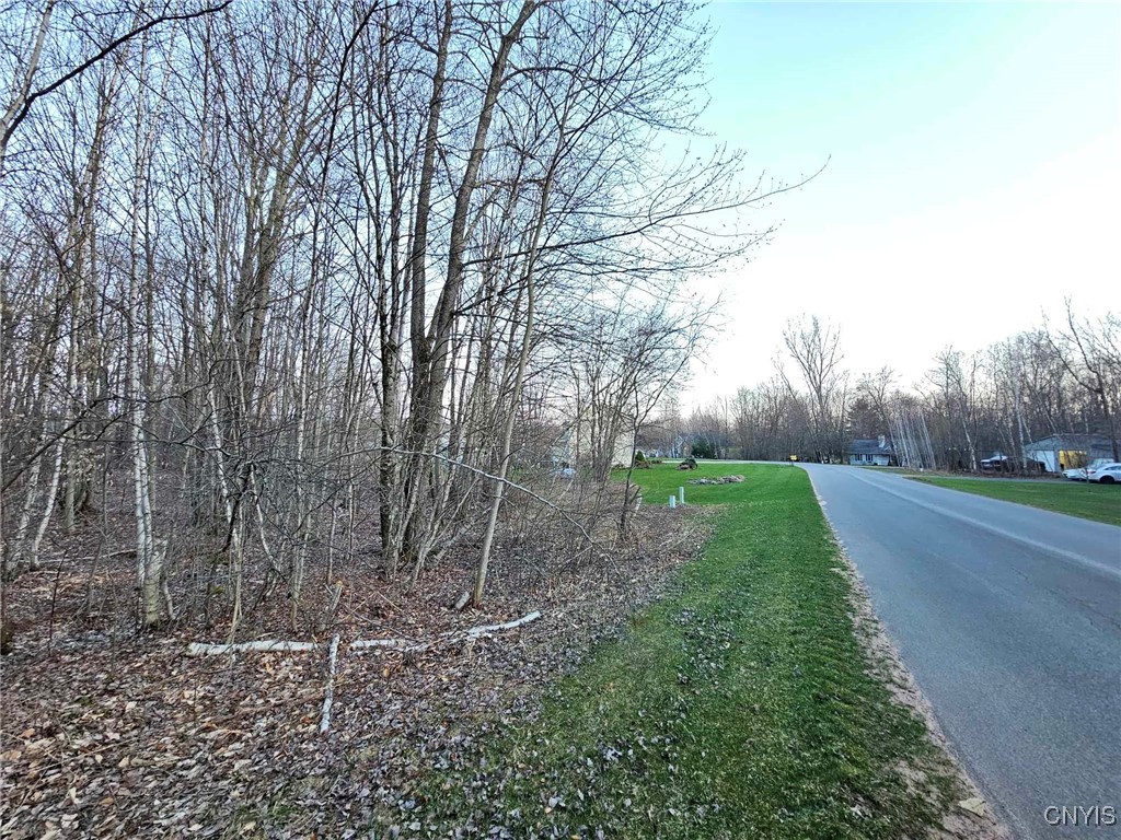 Adrian Circle, Constantia, New York image 7