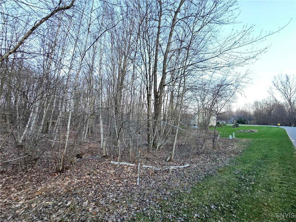 Adrian Circle, Constantia, New York image 8