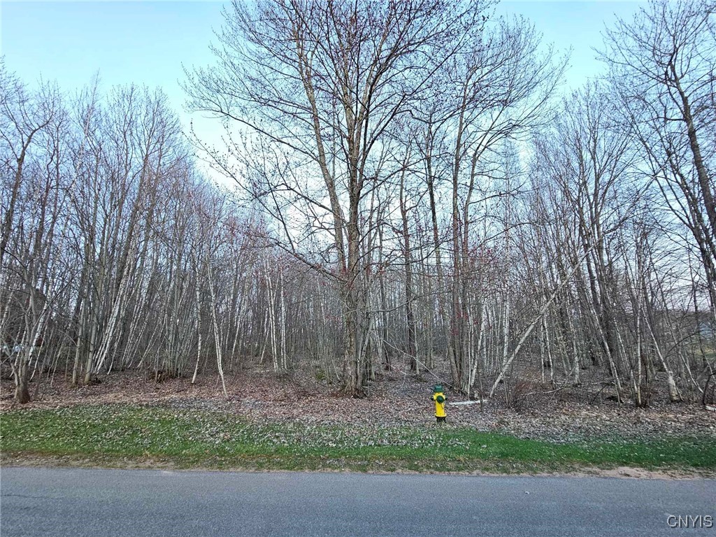 Adrian Circle, Constantia, New York image 1