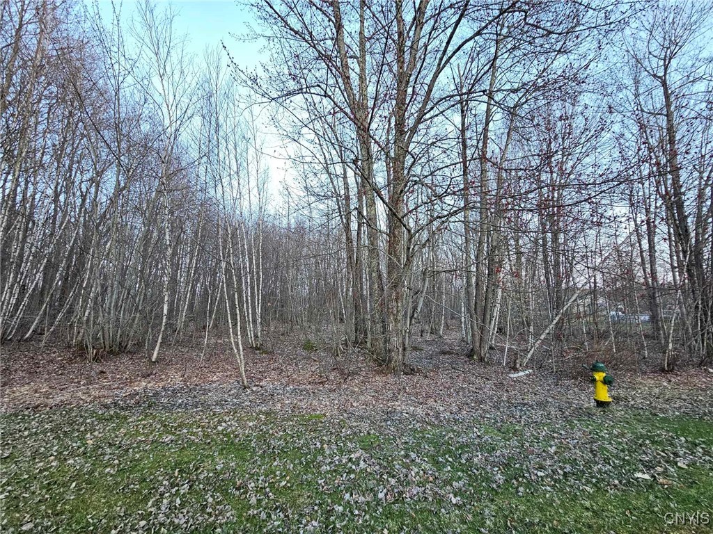 Adrian Circle, Constantia, New York image 6