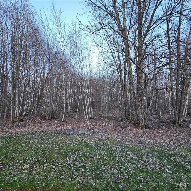 Adrian Circle, Constantia, New York image 5