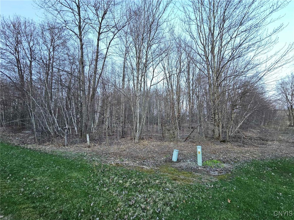 Adrian Circle, Constantia, New York image 3