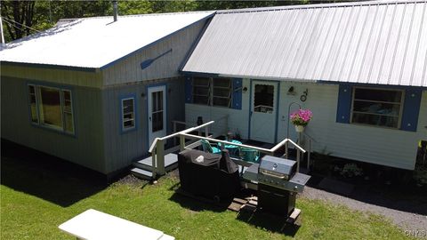 2036 Thornapple Lane, Remsen, NY 13438 - #: S1613001