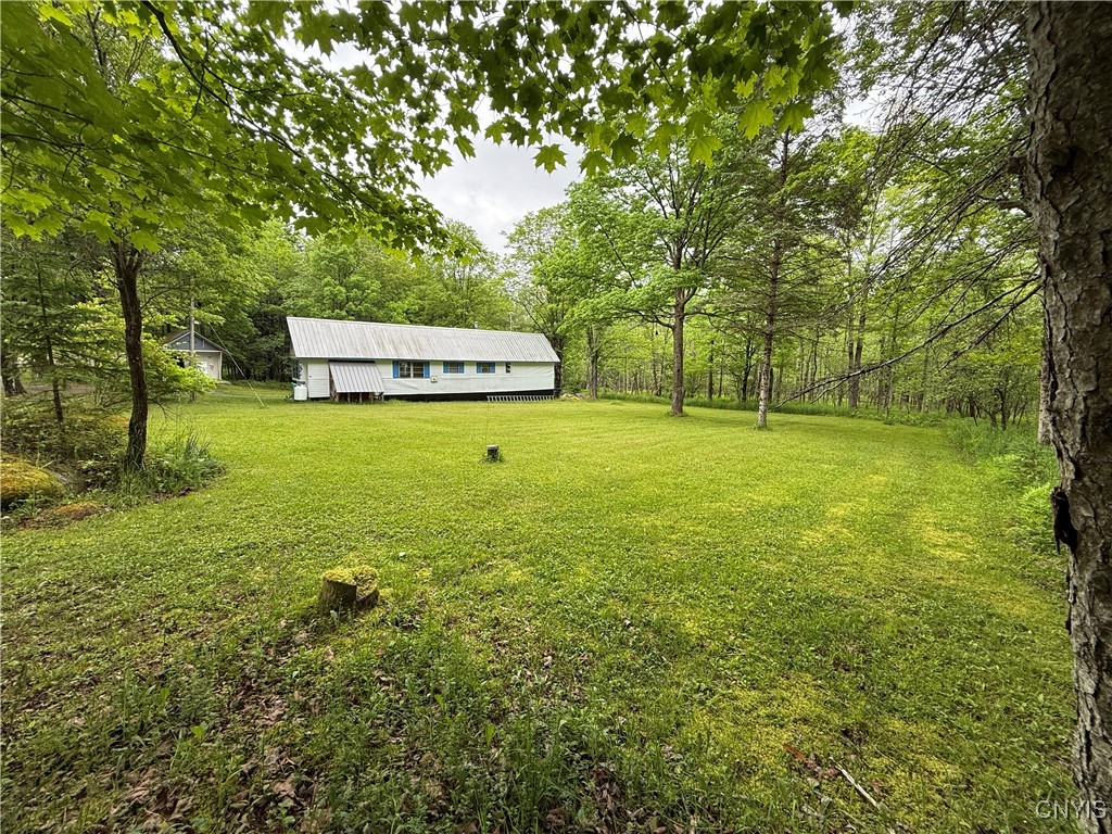 2036 Thornapple Road, Remsen, New York image 3