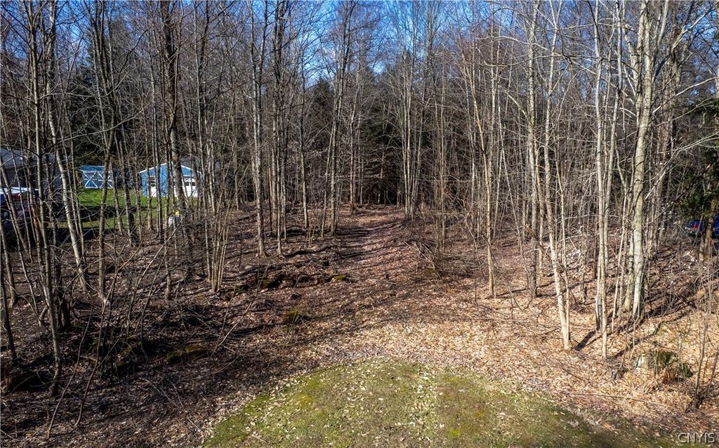 Photo of Baum Road, Hastings, NY 13076 (MLS # S1675942)