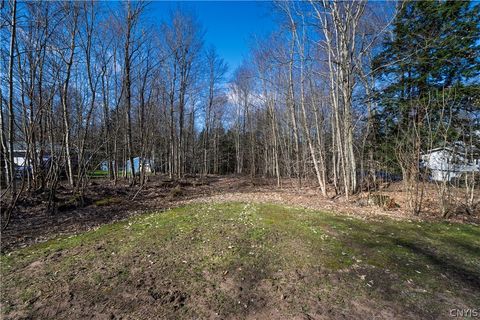 Photo of Baum Road, Hastings, NY 13076 (MLS # S1675942)