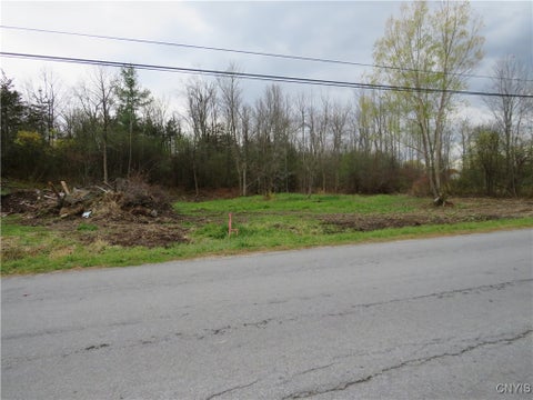 Vacant Land For Sale - 28844 Cottage Hill Road<br/> Alexandria, NY 13679