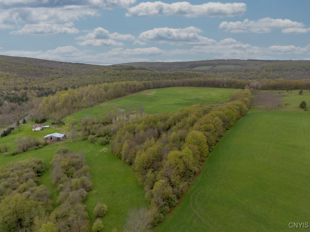 1957 Torpy Pond Road, Georgetown, New York image 49