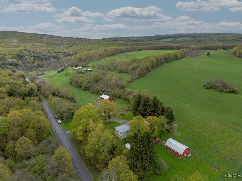 1957 Torpy Pond Road, Georgetown, New York image 3