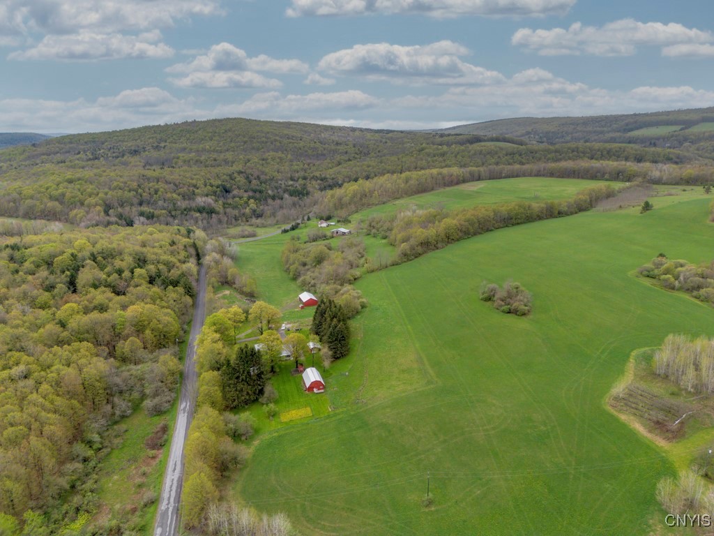 1957 Torpy Pond Road, Georgetown, New York image 50