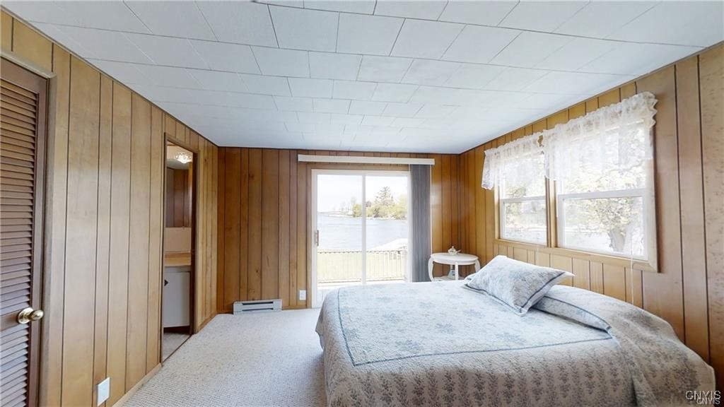 16687 Jackson Lane, Clayton, New York image 32