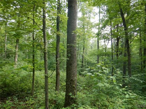 0 Starks Road Newfield NY 14867