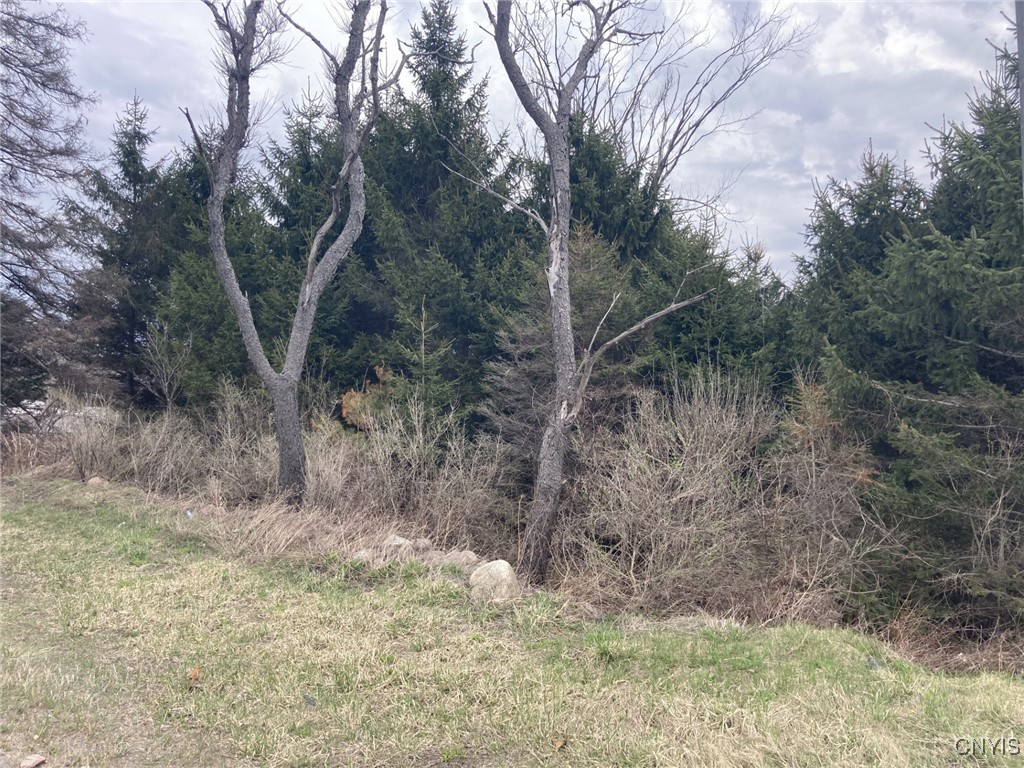 11333 State Route 12