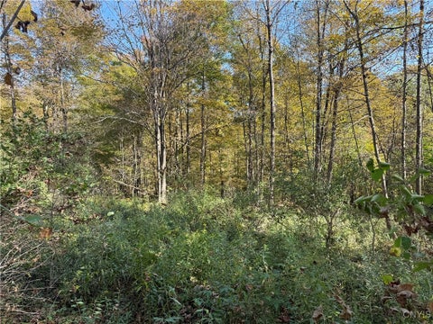 Photo for Cold Brook Road