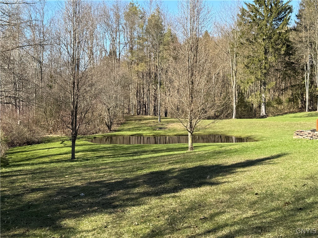 114 W Myers Road, Minetto, New York image 6