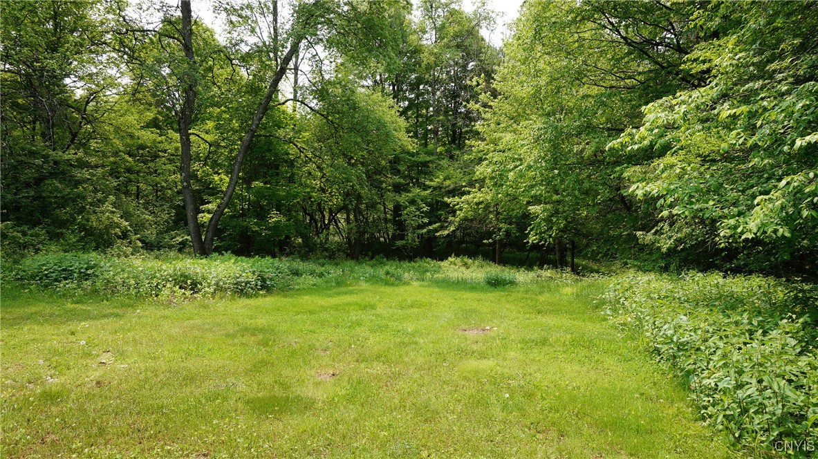 459 County Route 47, Redfield, New York image 20