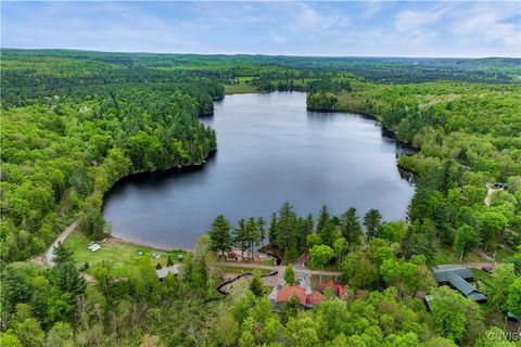 161 Portaferry Lake Drive Harrisville NY 13648